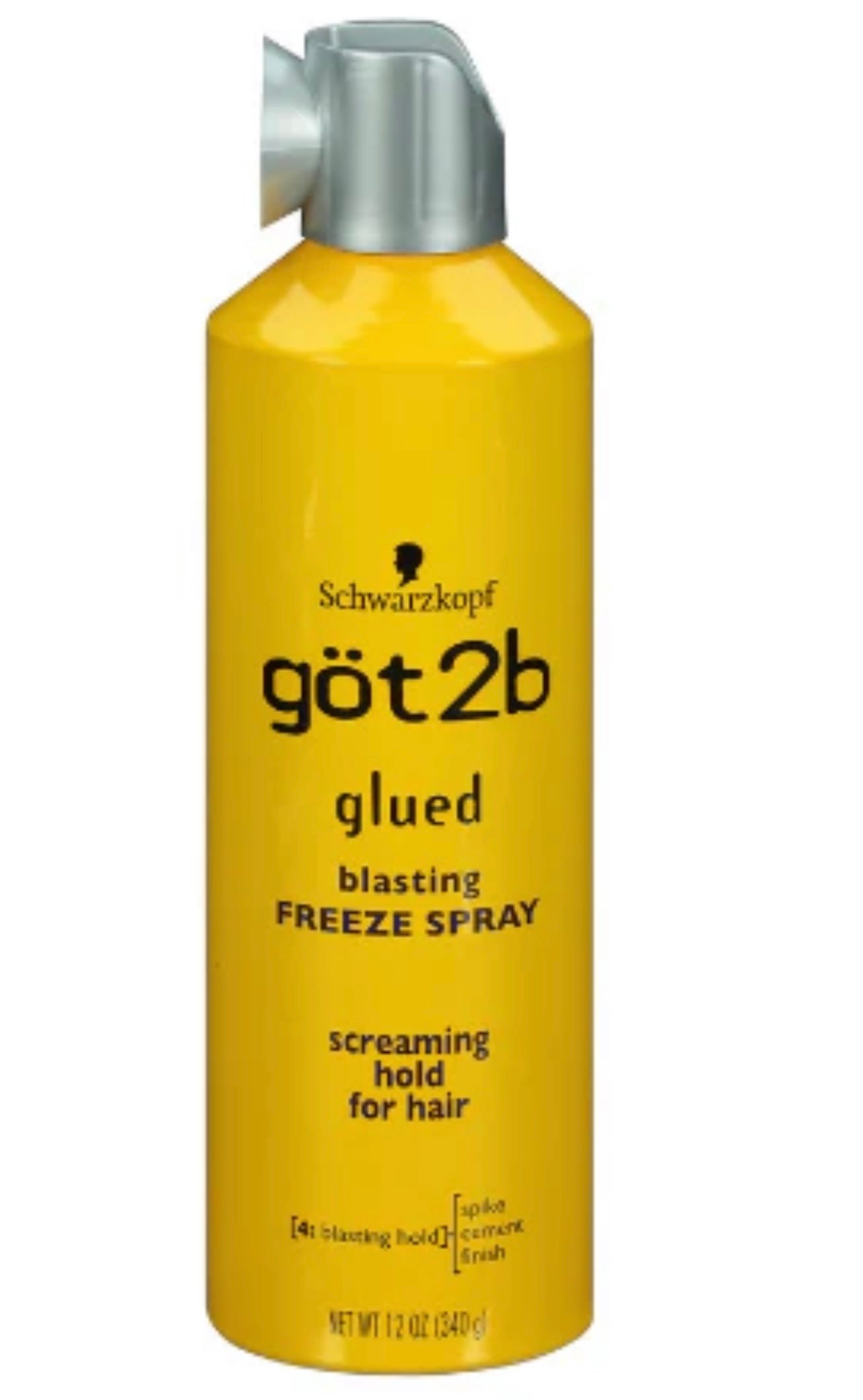 Got2b spray 12oz
